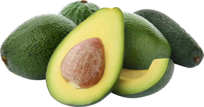 Palta